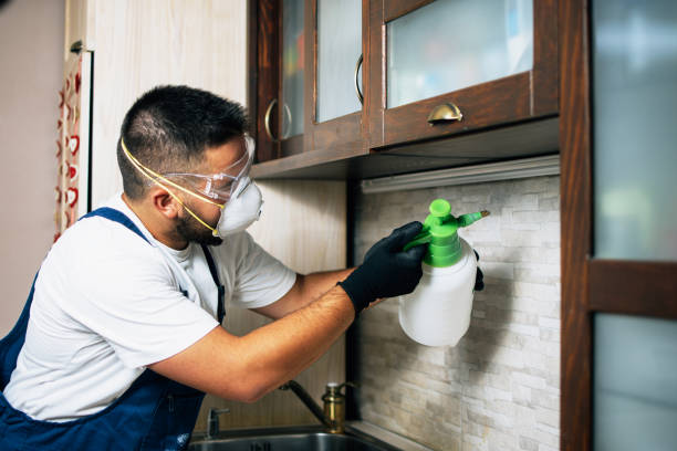 Best Local Pest Control Services  in Healdton, OK