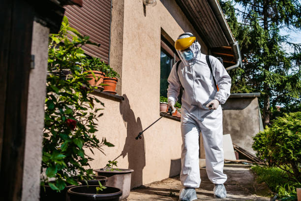 Best Wasp Removal Services  in Healdton, OK