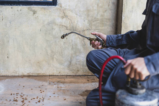Best Cockroach Control Services  in Healdton, OK