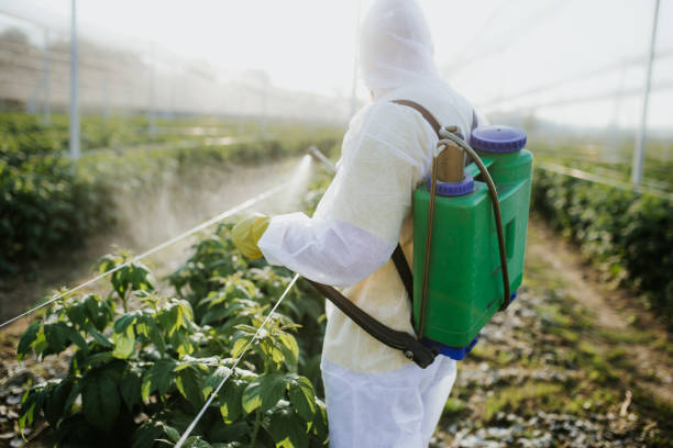 Best Pest Removal Services  in Healdton, OK